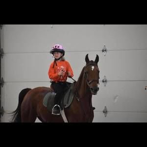 Meet your Posher, Amy